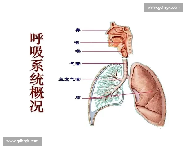 呼吸控制技巧与方法在日常健康管理中的全面应用指南
